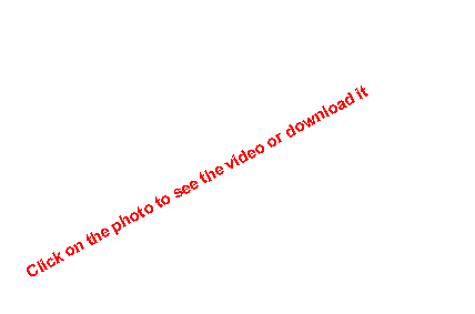 Zone de Texte: Click on the photo to see the video or download it